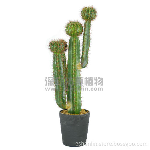 Newest artificial cactus